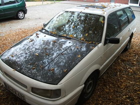 VW Passat Kombi , ehemaliger Streifenwagen, aufgemotzt mit FK Sportfahrwerk 40/60 und böser Blick