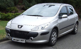 Peugot 307 1,6 - Grande Filou cool