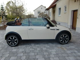 Wunderschöner Mini in Sidewalk - Ausführung
