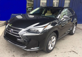 LEXUS NX 300h Excellence mit Allradtrieb