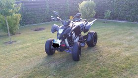CPI XS 250 Zuverl&auml;ssiges Garagenfahrzeug Alarmanlage