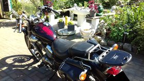 Yamaha Virago XV