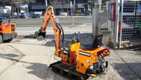 Andere HEUSCHRECKE