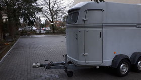 Westfalia Pferdetransporter